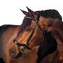 Horses Tasting Pro Bridle černa
