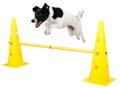 Pylonový překážkový set Agility