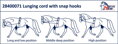 Lunging cord 