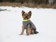 Oblečení pro psy – Teplé, odolné a pohodlné oblečení pro malá i velká plemena