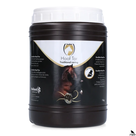 Péče o kopyta koní