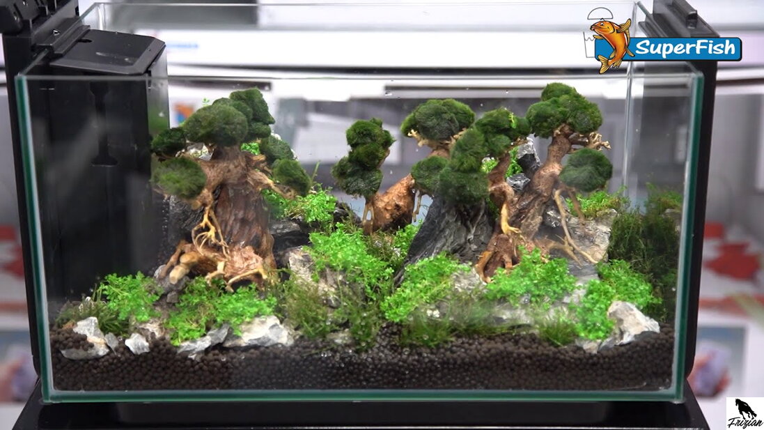 Nejčastější problémy v akváriu!