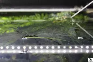 Slepá hladina v akváriu