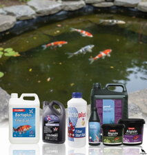 Starter baktériumok a tóban