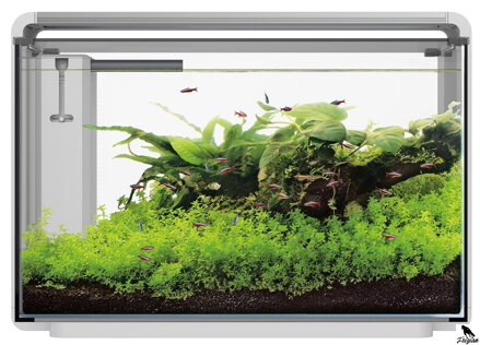 SF HOME 65 AQUARIUM bílé