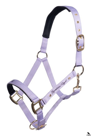 Ohlávka -Lavender Bay-