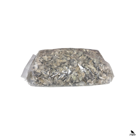 Japonske ustrice škrupiny 20kg