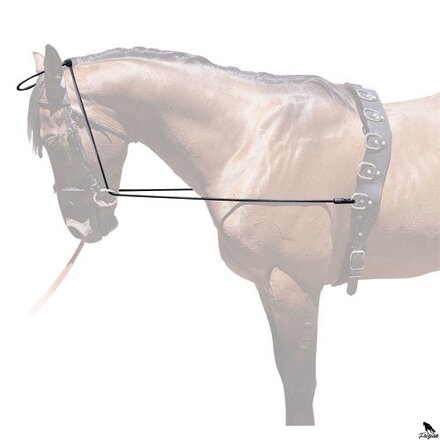 HH ELASTIC CHAMBON REINS
