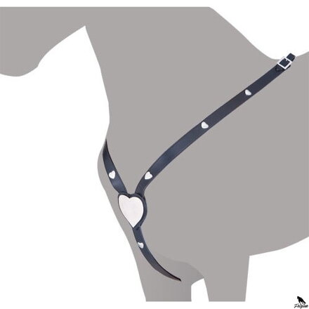 LUDOMAR MINORCAN CROSSOVER SO SRDCOM