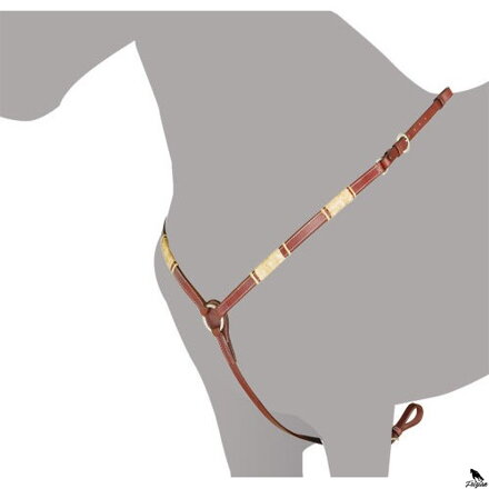 HH TEXAN DENVER PRSNÍK