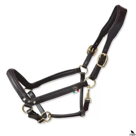 "Tasting Anatomic" Leather Headcollar