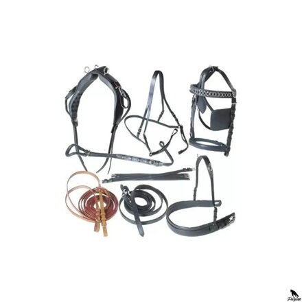 Vodicí postroj Diplomat Basic Lux černý