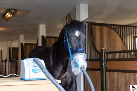 Ultrazvukový inhalátor pro koně AirOne