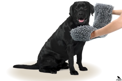 Royal Dry Towel For Dogs