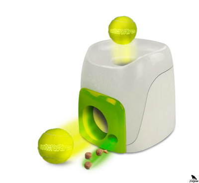 Interactive Fetch'N Treat