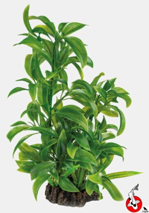 ART ROSTLINA 25CM DRACAENA