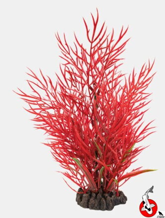 ART ROSTLINA 25CM LUDWIGIA