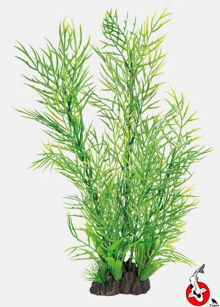 ART ROSTLINA 40CM CERATOPTERIS