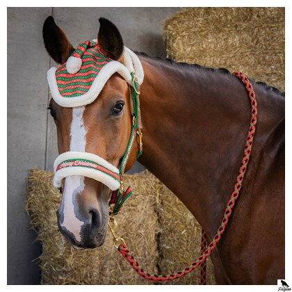 Vianočný obojok, vodítko a ušná čiapka