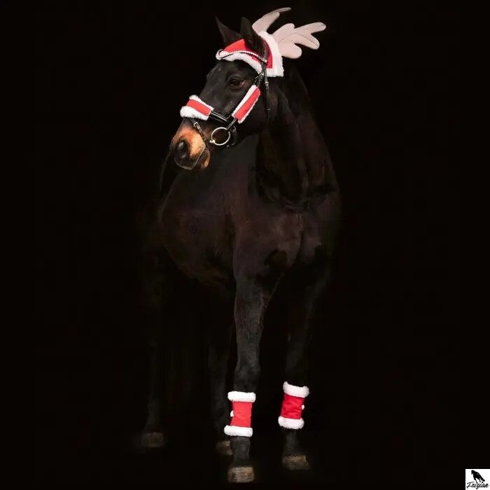 Vianočná -Set christmas Waldhausen uni