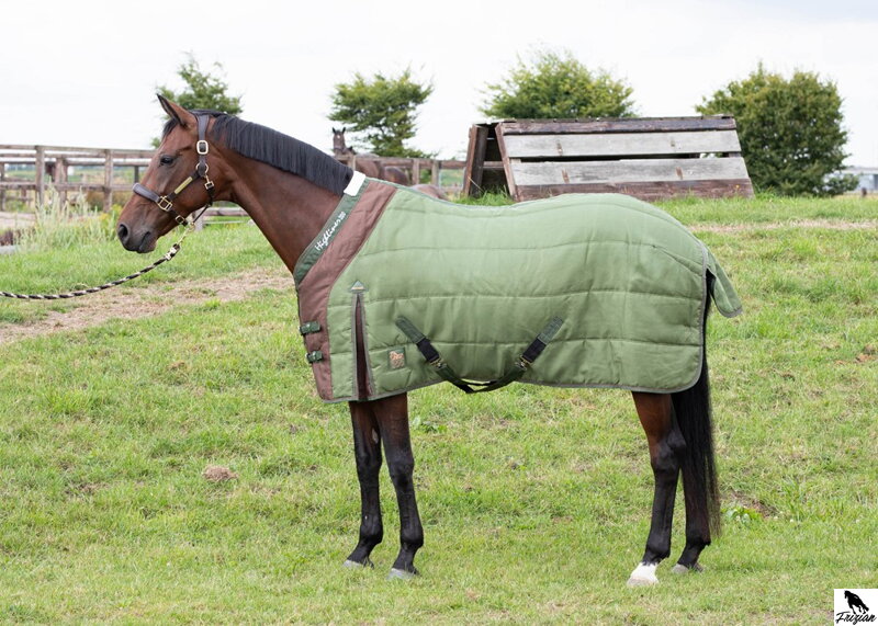 Stájová deka Highliner 200gr WI23