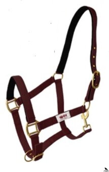 DVOJITÁ NYLONOVÁ HH UZDA S KARABÍNOU Bordová