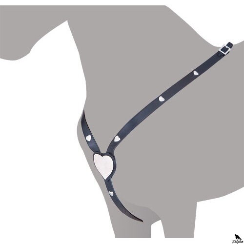 LUDOMAR MINORCAN CROSSOVER SO SRDCOM