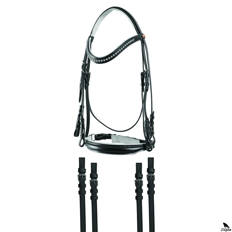 Drezurní set s kamínkami