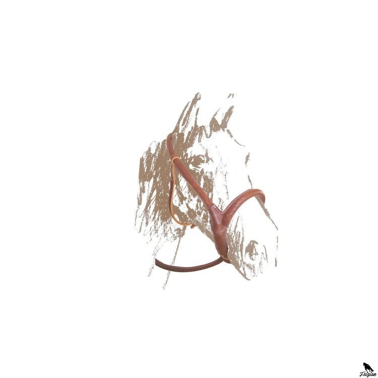 KONOPNÍ OHLAVKA MAREMMANA MODEL