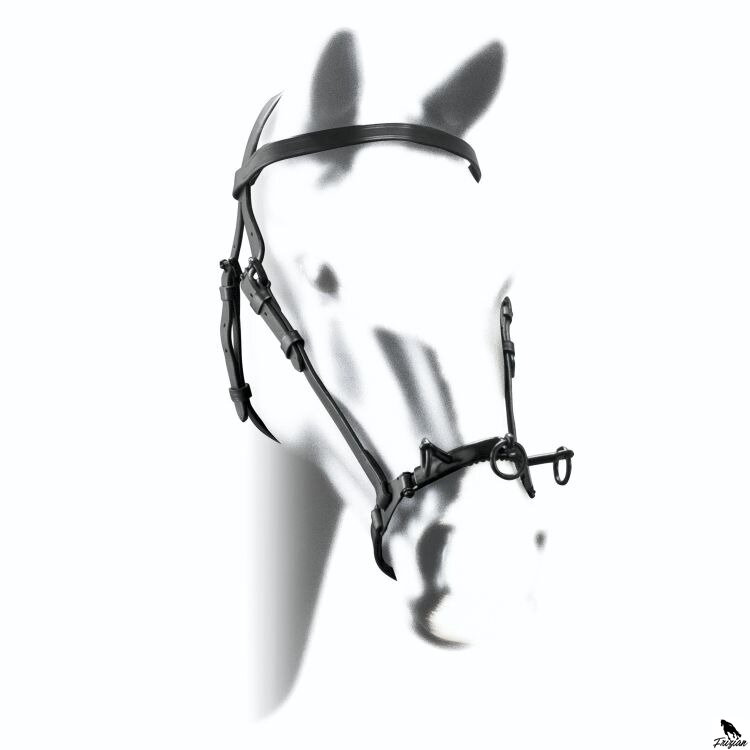 JM ŠPANIELSKY CAVESSON