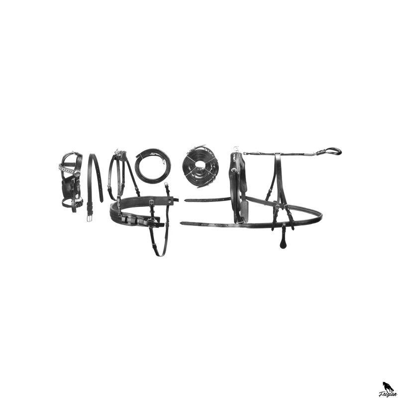 DVOJITÝ LUXUSNÍ POPRUH K PŘEPRAVĚ