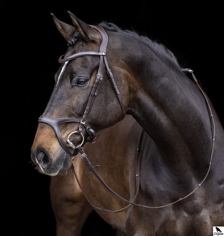 Bridle -Anatomic Sports- hnedá