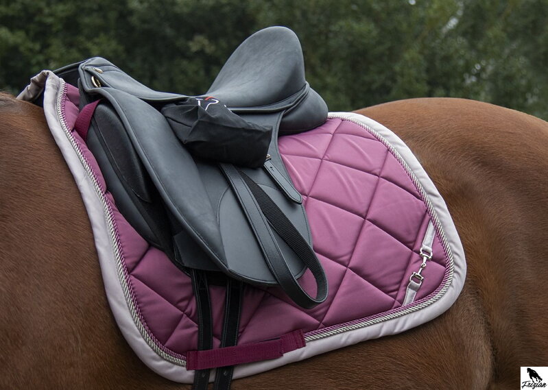 Podsedlovka - Golden Gate Bit - drezurní - různé barvy