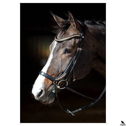 Uzda Rosegold anatomic