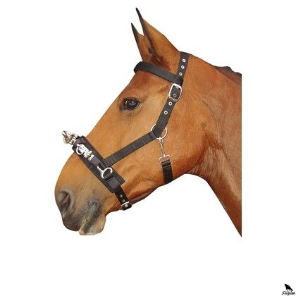 Lungecavesson v černé barvě