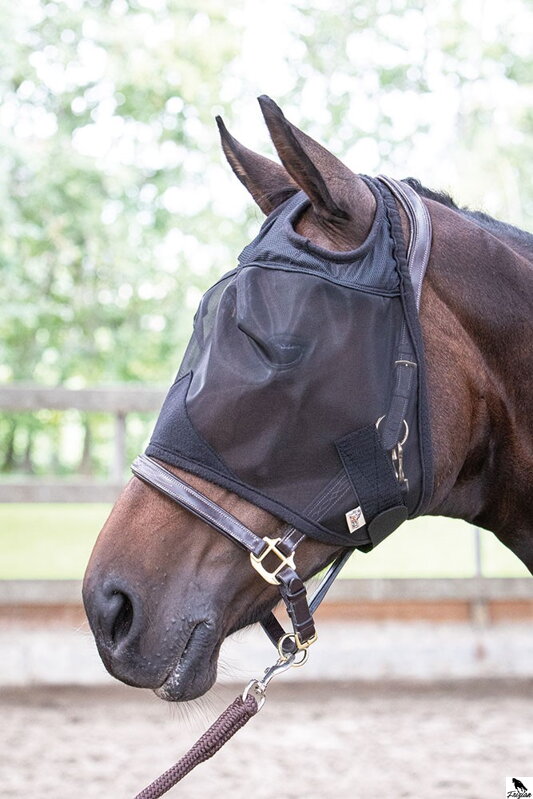 Maska proti mouchám Flyshield bez uší