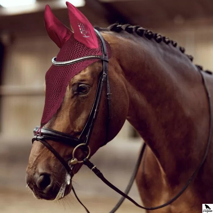 Horses Loop Fly Hood bordová