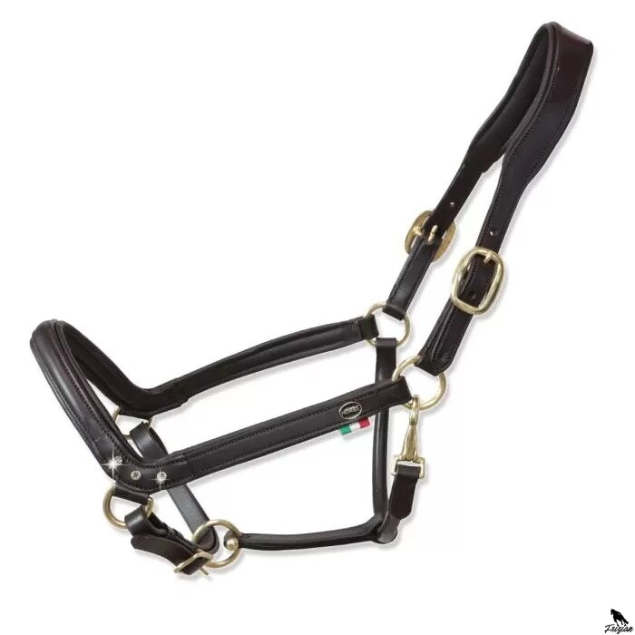 "Tasting Anatomic" Leather Headcollar