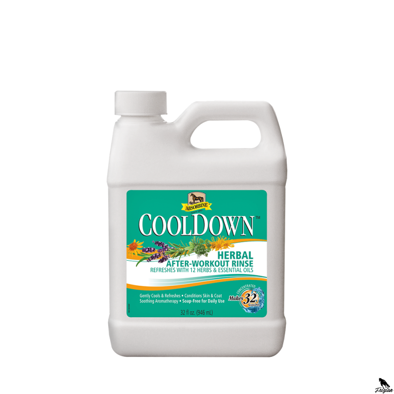 Absorbine Cool down, kanyster 946 ml