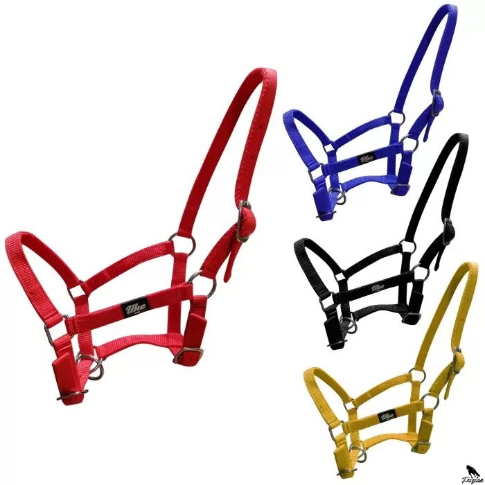 Nylonová ohlávka s trojím nastavením Shetland