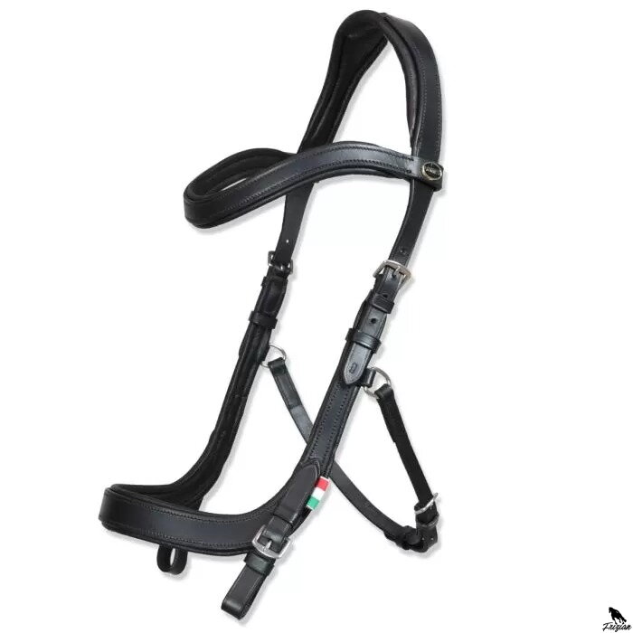 Horses "Tasting Anatomic" Bridle