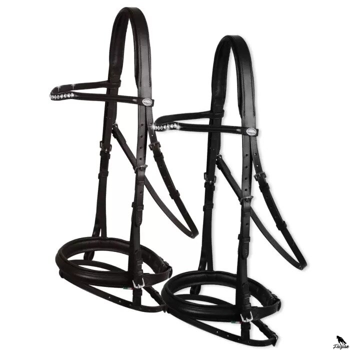 Horses Courmayeur Bridle Full