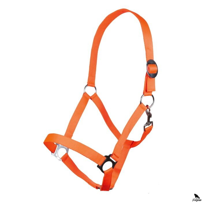 Nylonová ohlávka -Stars Economy Softice- neonově oranžová