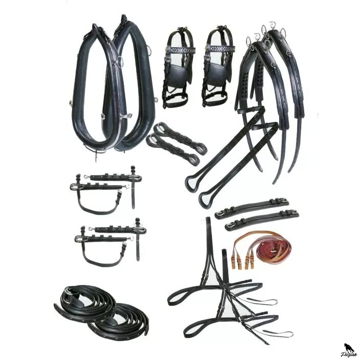 Diplomat SS Pair Driving Harness Chomút - černy