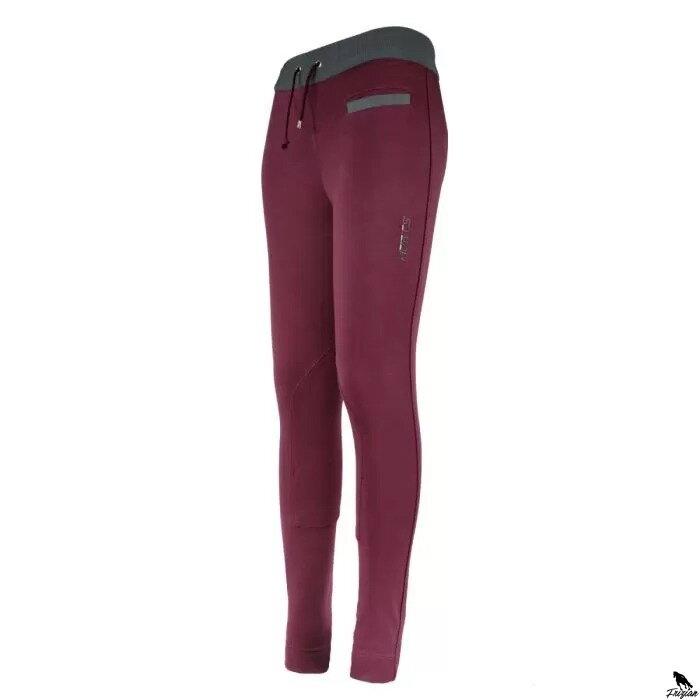 Horses Janet Ladies Breeches bord
