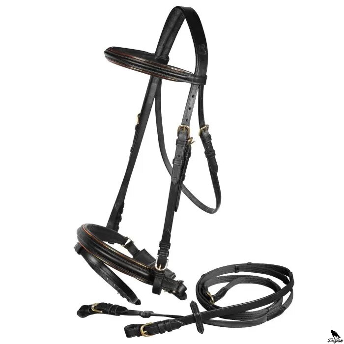 Gold Trim Bridle hnede