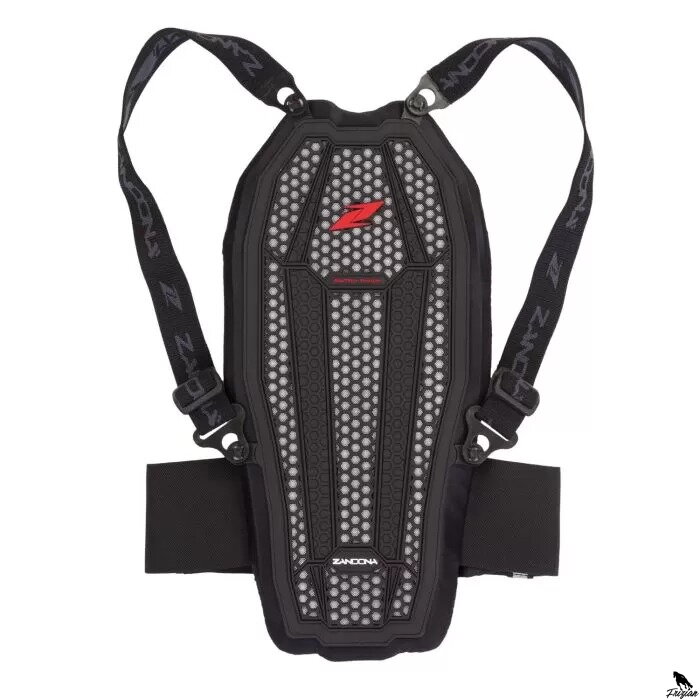 Zandonà Esatech Back Pro Kid X8