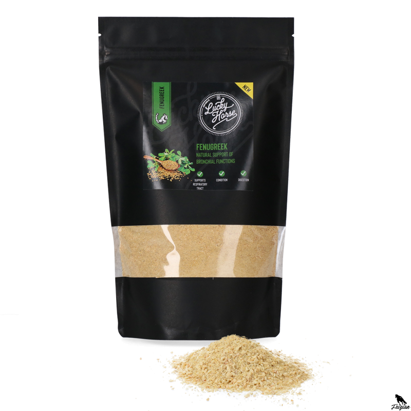 Lucky Horse Senovka řecká