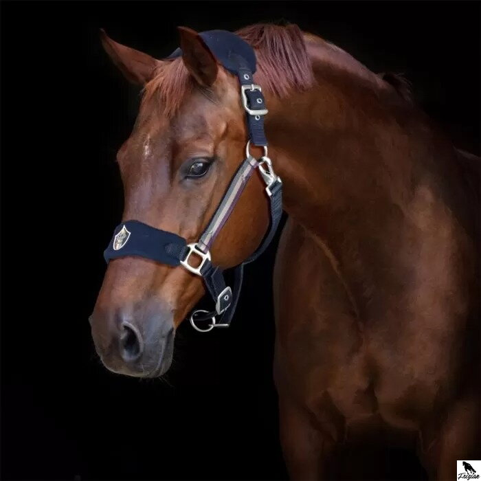 Horses Lorena Soft Headcollar