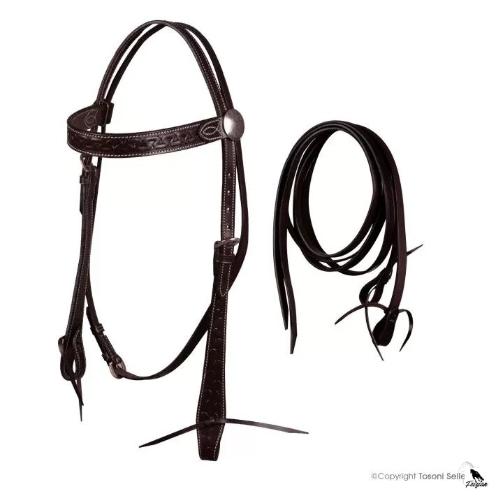 Western Embroidered Bridle